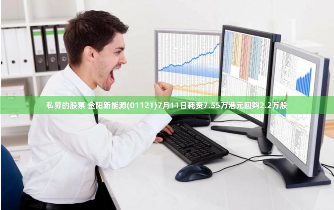 私募的股票 金阳新能源(01121)7月11日耗资7.55万港元回购2.2万股