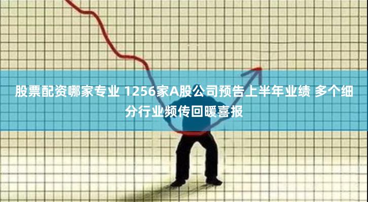 股票配资哪家专业 1256家A股公司预告上半年业绩 多个细分行业频传回暖喜报