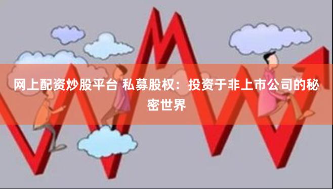 网上配资炒股平台 私募股权：投资于非上市公司的秘密世界