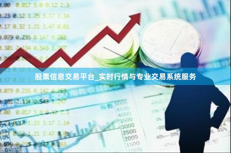 股票信息交易平台_实时行情与专业交易系统服务