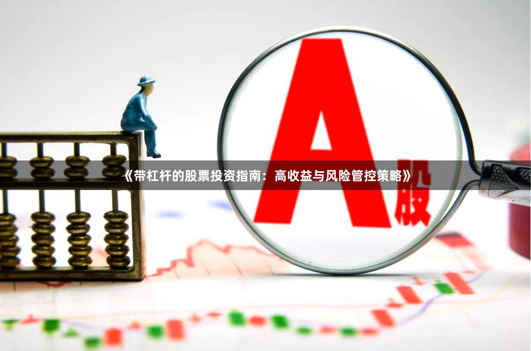 《带杠杆的股票投资指南：高收益与风险管控策略》
