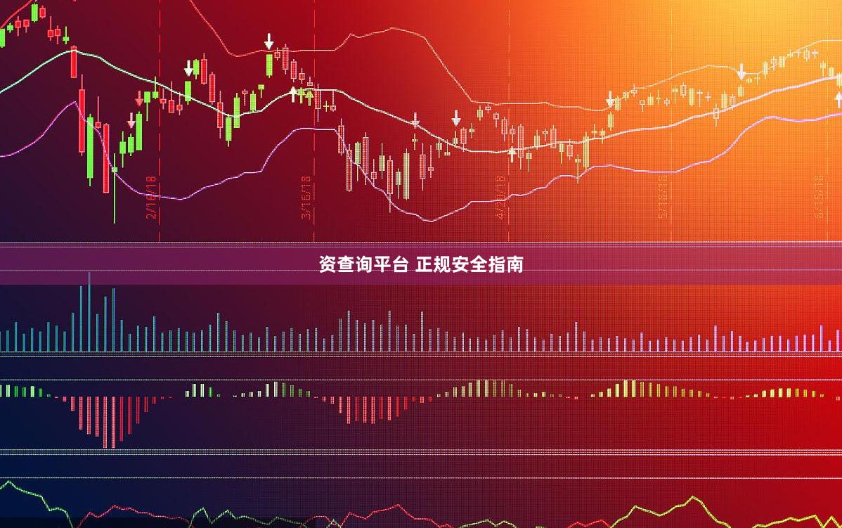资查询平台 正规安全指南